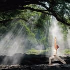 Miniatura fototapety Joga w lesie o świcie