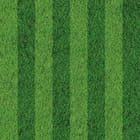 Miniatura fototapety Zielone pasy trawy na boisku
