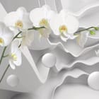 Miniatura fototapety Białe Orchidee na Abstrakcyjnym Tle