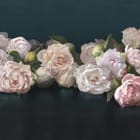 Miniatura fototapety Bukiet piwonii na ciemnym tle