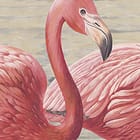 Miniatura fototapety Flamingi w wodzie z magnoliami - realne zdjęcie w rolce