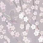 Miniatura fototapety Sakura na gałęziach drzewa - realne zdjęcie w rolce