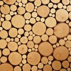 Miniatura fototapety Drewniane kręgi na ścianie