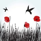 Miniatura fototapety Kolibry i Maki na Jasnym Tle