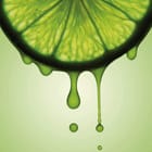 Miniatura fototapety Plasterek Limonki z Kroplami