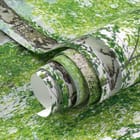 Miniatura fototapety Brzozy w zielonym lesie - realne zdjęcie w rolce