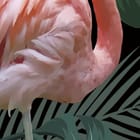 Miniatura fototapety Flamingi wśród zieleni - realne zdjęcie w rolce