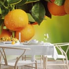 Miniatura fototapety Gałąź z pomarańczowymi owocami we wnętrzu kuchni