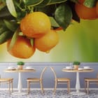 Miniatura fototapety Gałąź z pomarańczowymi owocami we wnętrzu kawiarni