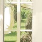 Miniatura fototapety Widok z okna z roślinami - jakość wydruku i struktura materiału