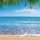 Miniatura fototapety Plaża z palmami i oceanem