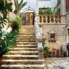 Miniatura fototapety Kamienne schody z roślinami