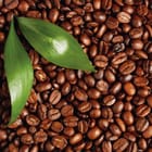 Miniatura fototapety Ziarna kawy z zielonymi liśćmi