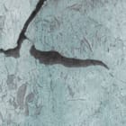 Miniatura fototapety Tropikalne liście z papugą - jakość wydruku i struktura materiału