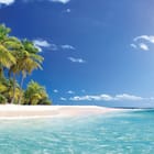 Miniatura fototapety Plaża z palmami i oceanem