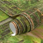 Miniatura fototapety Leśna droga wśród wysokich sosen - realne zdjęcie w rolce