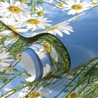 Miniatura fototapety Pole stokrotek pod niebem fragment #1