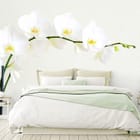 Miniatura fototapety Białe Orchidee na Łodydze we wnętrzu sypialni