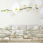 Miniatura fototapety Białe Orchidee na Łodydze we wnętrzu salonu