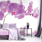 Miniatura fototapety Fioletowe orchidee nad wodą we wnętrzu sypialni