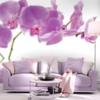 Miniatura fototapety Fioletowe orchidee nad wodą we wnętrzu salonu