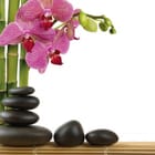Miniatura fototapety Orchidee i Kamienie w Harmonii
