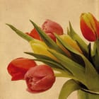 Miniatura fototapety Kolorowe Tulipany w Wazonie