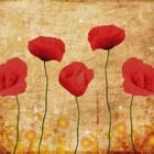Miniatura fototapety Czerwone maki na tle z teksturą