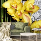 Miniatura fototapety Żółte orchidee na mokrej powierzchni we wnętrzu salonu
