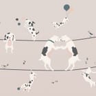 Miniatura fototapety Zabawne psy na linach z balonami