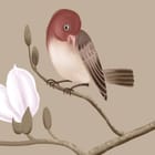 Miniatura fototapety Gałązki magnolii z ptakami - realne zdjęcie w rolce
