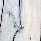 Miniatura fototapety Zbliżenie Desek z Fakturą Drewna - jakość wydruku i struktura materiału