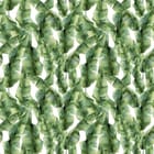 Miniatura fototapety Zielone liście bananowca na białym tle