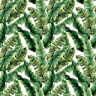 Miniatura fototapety Zielone Liście Bananowca