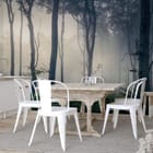Miniatura fototapety Tajemniczy Las z Mgłą - aranżacja w kuchni