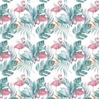 Miniatura fototapety Flamingi i Liście na Białym Tle