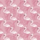Miniatura fototapety Flamingi na różowym tle