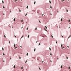 Miniatura fototapety Różowe Flamingi w Harmonii