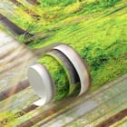 Miniatura fototapety Las o świcie z wysokimi drzewami - realne zdjęcie w rolce