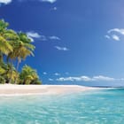 Miniatura fototapety Plaża z palmami i oceanem