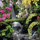 Miniatura fototapety Wodospad wśród kwiatów