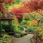 Miniatura fototapety Ścieżka w ogrodzie z altaną