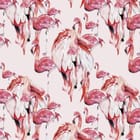 Miniatura fototapety Różowe flamingi na jasnym tle