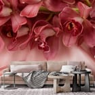 Miniatura fototapety Różowe storczyki na jedwabnym tle we wnętrzu salonu