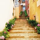 Miniatura fototapety Kamienne schody z roślinami