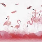 Miniatura fototapety Różowe Flamingi na Białym Tle