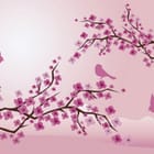 Miniatura fototapety Sakura – Gałęzie z Kwiatami Wiśni