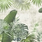 Miniatura fototapety Tropikalne liście monstery i palm