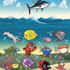 Miniatura fototapety Kolorowe ryby i zwierzęta morskie