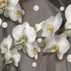 Miniatura fototapety Białe orchidee na drewnianym tle